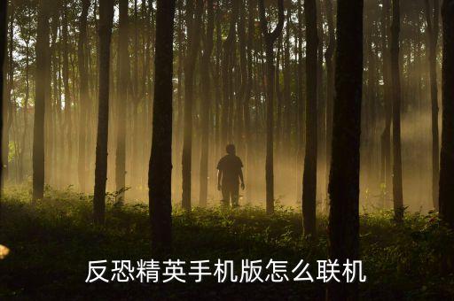反恐精英手机版怎么联机