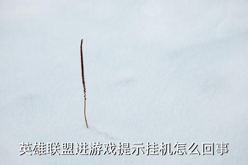 英雄联盟进游戏提示挂机怎么回事