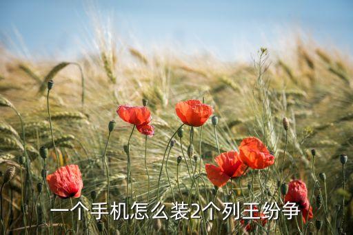 一个手机怎么装2个列王纷争