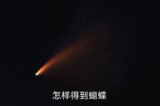 怎样得到蝴蝶