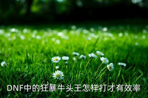 DNF中的狂暴牛头王怎样打才有效率