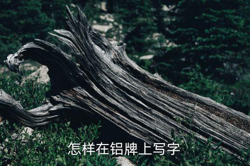 摩尔庄园手游家门口牌子怎么写字，怎样在铝牌上写字