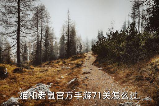 猫和老鼠手游秋名山怎么过，怎样完成秋名山