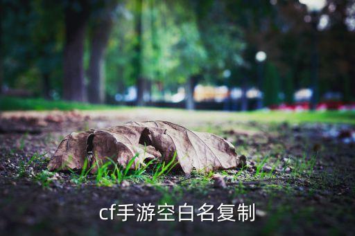 穿越火线手游怎么复制自己名字，穿越火线名字怎么复制