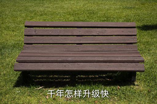 千年怎样升级快