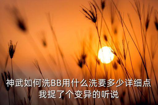 神武如何洗BB用什么洗要多少详细点我捉了个变异的听说