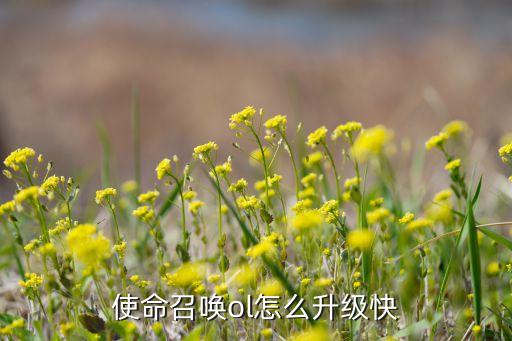使命召唤手游怎么样才能快速满级，使命召唤OL快速满级方法 快速升级方法有哪些