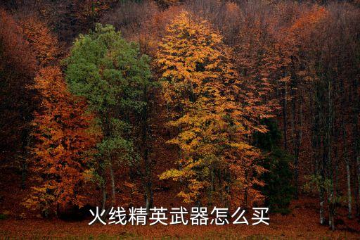 手游火线精英战痕武器怎么获得，手机版火线精英如何获得永久的夺魂之镰