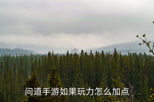 问道手游力量值怎么加，问道手游如果玩力怎么加点