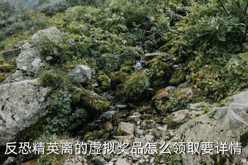 反恐精英离的虚拟奖品怎么领取要详情