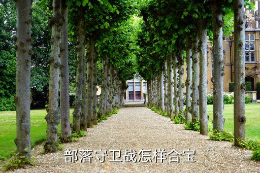 部落守卫战怎样合宝
