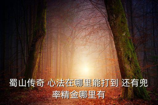 蜀山传奇 心法在哪里能打到 还有兜率精金哪里有