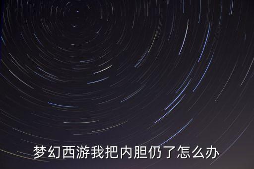 梦幻西游我把内胆仍了怎么办