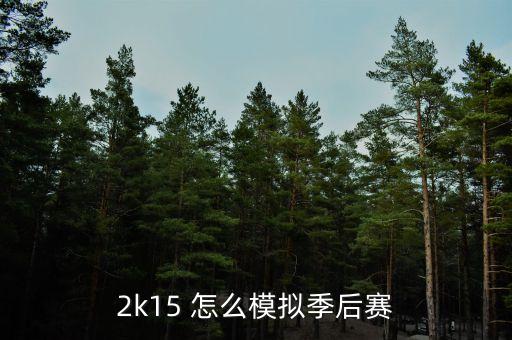 2k15 怎么模拟季后赛