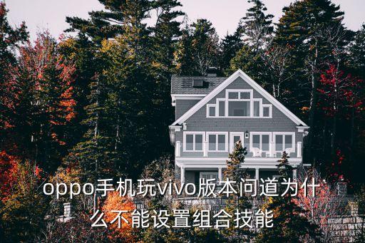 oppo手机玩vivo版本问道为什么不能设置组合技能