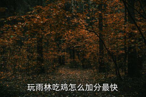 吃鸡手游怎么快速上分教学，手游吃鸡技巧怎么加分