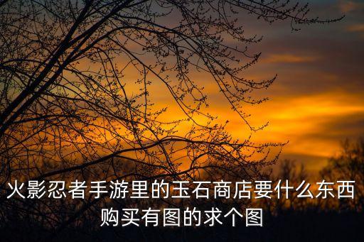 火影忍者手游里的玉石商店要什么东西购买有图的求个图