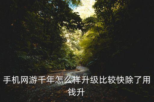 手机网游千年怎么样升级比较快除了用钱升
