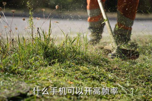 什么手机可以开高帧率