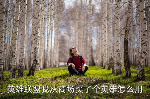 英雄联盟手游英雄怎么用，英雄联盟我从商场买了个英雄怎么用