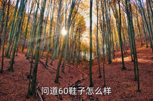 问道60鞋子怎么样