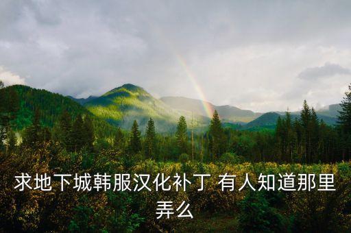 韩服地下城与勇士手游怎么汉化，DNF韩服能汉化吗必须懂韩语才能玩