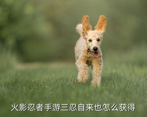 火影忍者手游三忍自来也怎么获得