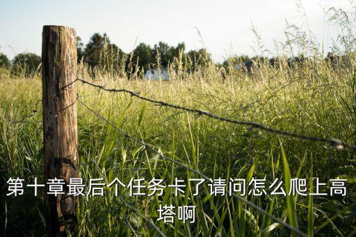 第十章最后个任务卡了请问怎么爬上高塔啊