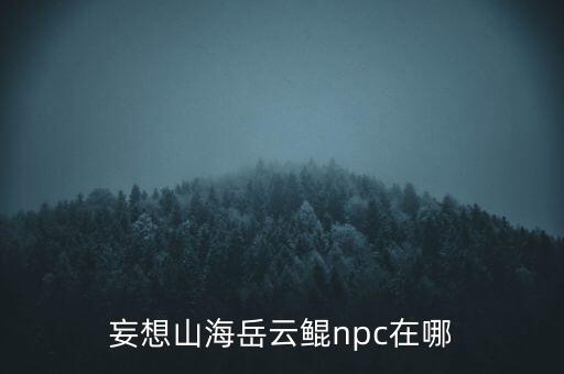 妄想山海手游怎么找岳云坤，Otocic Galesnjak在安卓手机怎么找