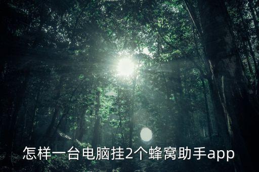 怎样一台电脑挂2个蜂窝助手app