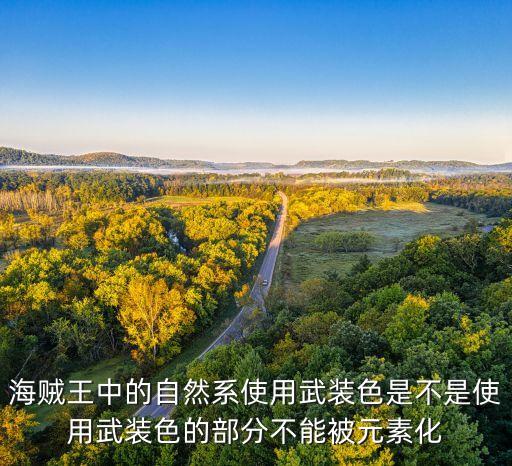 海贼王中的自然系使用武装色是不是使用武装色的部分不能被元素化