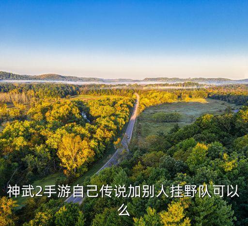 神武2手游自己传说加别人挂野队可以么