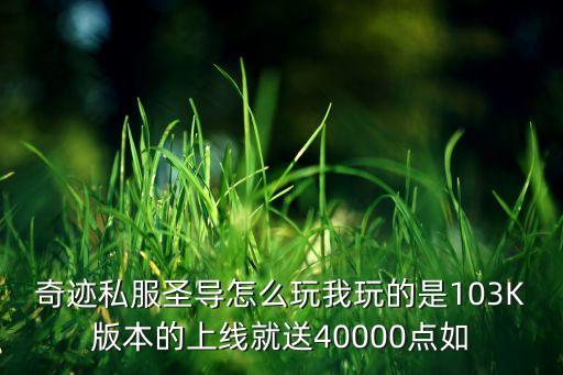 奇迹私服圣导怎么玩我玩的是103K版本的上线就送40000点如