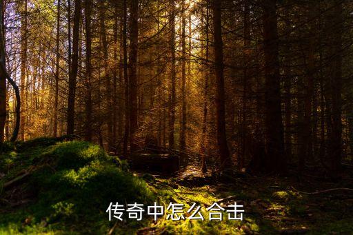 传奇中怎么合击