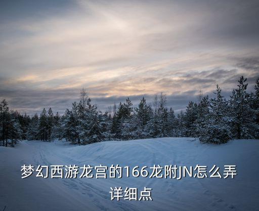 梦幻西游龙宫的166龙附JN怎么弄 详细点