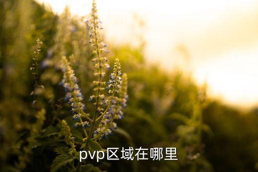 pvp区域在哪里