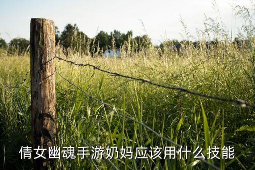 倩女幽魂手游奶妈应该用什么技能