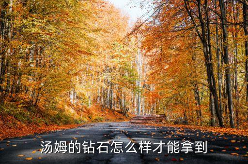 汤姆的钻石怎么样才能拿到