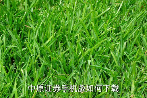 中原证券手机版如何下载