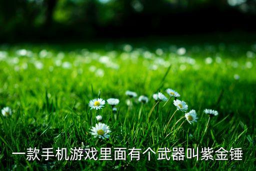 一款手机游戏里面有个武器叫紫金锤