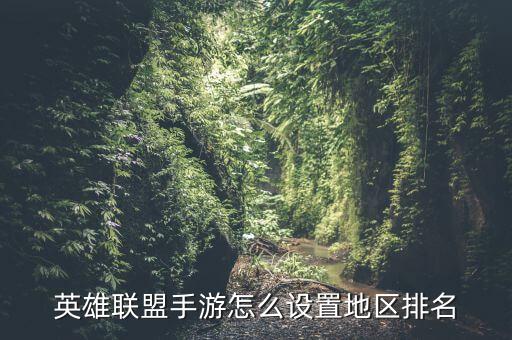 英雄联盟手游怎么设置地区排名
