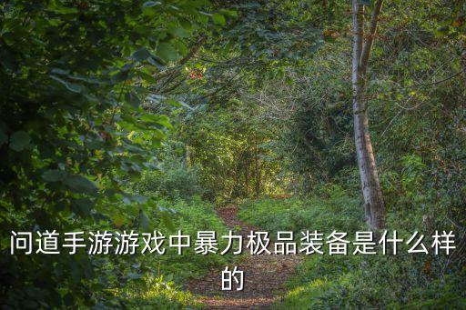问道手游游戏中暴力极品装备是什么样的