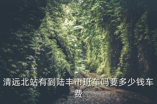 清远北站有到陆丰市班车吗要多少钱车费