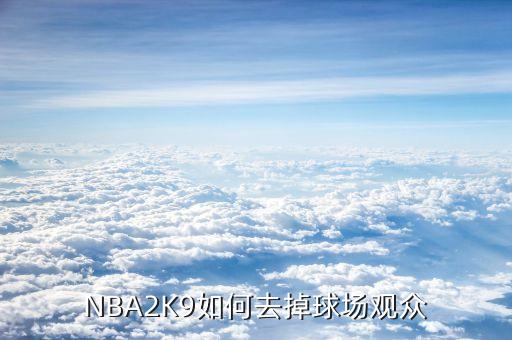NBA2K9如何去掉球场观众