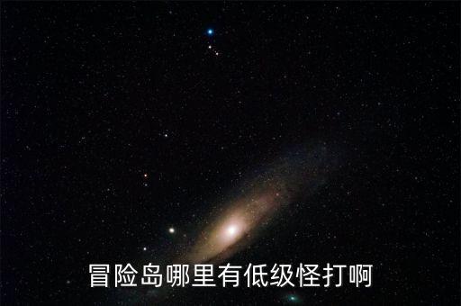 冒险岛哪里有低级怪打啊