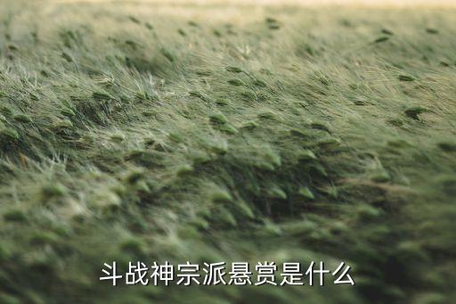 斗战神宗派悬赏是什么