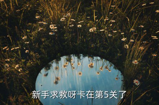 新手求救呀卡在第5关了