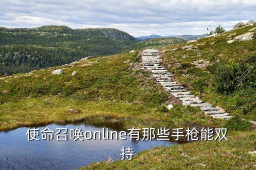 使命召唤online有那些手枪能双持
