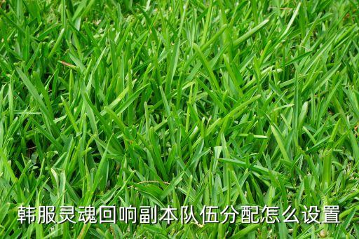 韩服灵魂回响副本队伍分配怎么设置