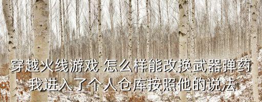 穿越火线游戏 怎么样能改换武器弹药 我进入了个人仓库按照他的说法